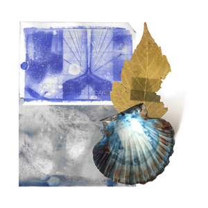 http://www.lenagex.fr/files/gimgs/th-48_errances_vignettes_terres-de-soie_1.png