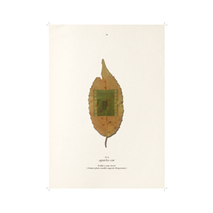 http://www.lenagex.fr/files/gimgs/th-48_errances_vignettes_terres-de-soie_2.png