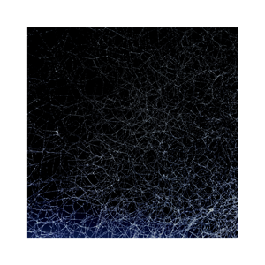 http://www.lenagex.fr/files/gimgs/th-48_errances_vignettes_terres-de-soie_4.png