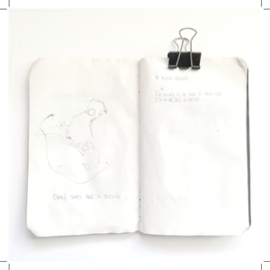 http://www.lenagex.fr/files/gimgs/th-49_errances_vignettes_carnets-moleskine-(4)_v2.png