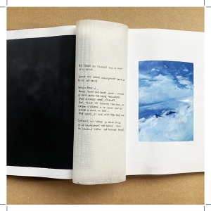 http://www.lenagex.fr/files/gimgs/th-49_vignettes_carnet_album_9.jpg