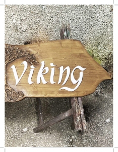 http://www.lenagex.fr/files/gimgs/th-78_panneaux_viking_arbre_vignetted.jpg